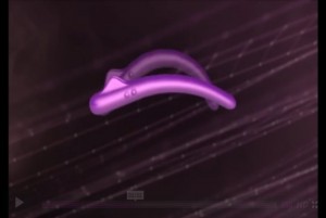 vibrator