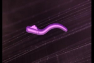 vibrator