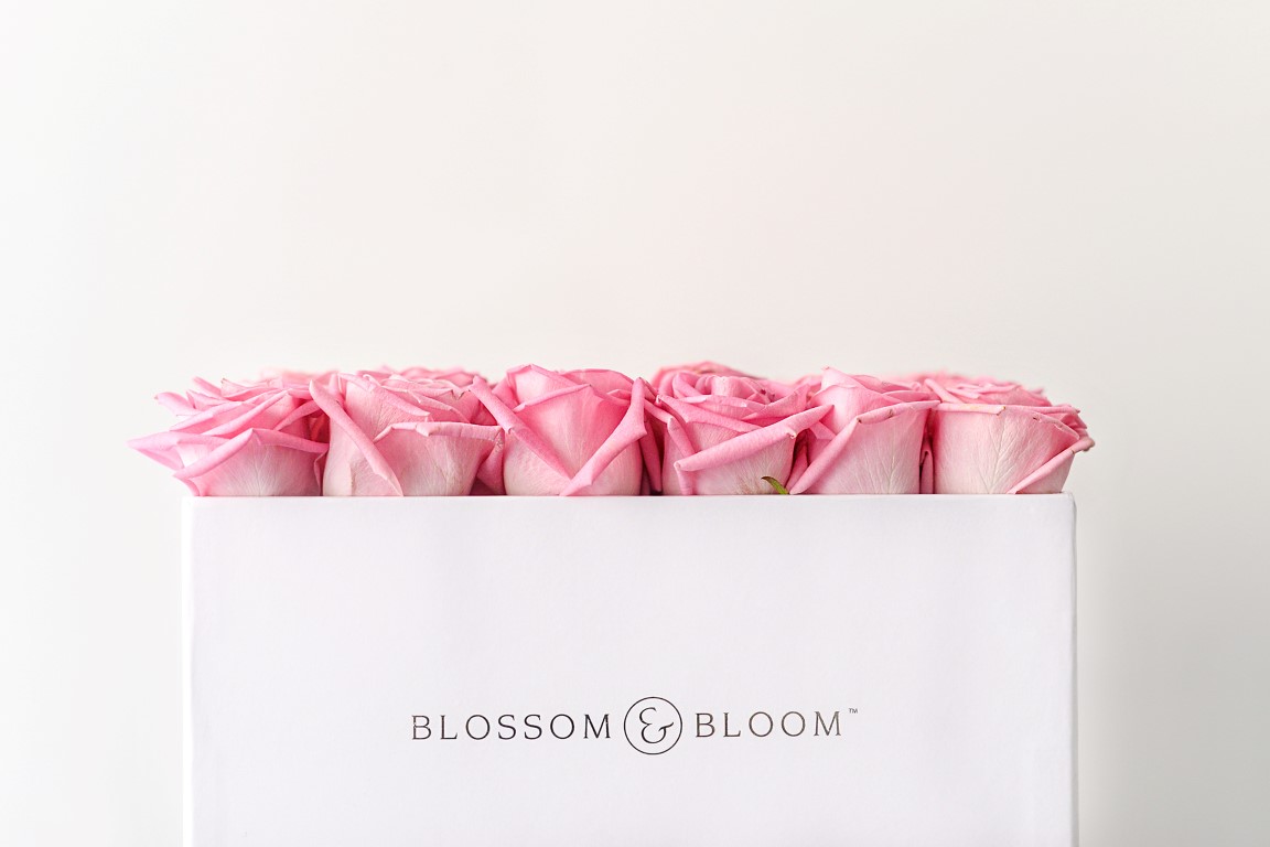 Blossom Bloom 12