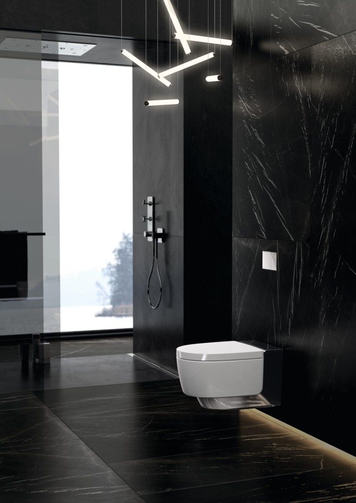 2016 Bathroom 07 D2 AquaClean Mera comfort chrome with Omega60.tif_bigview