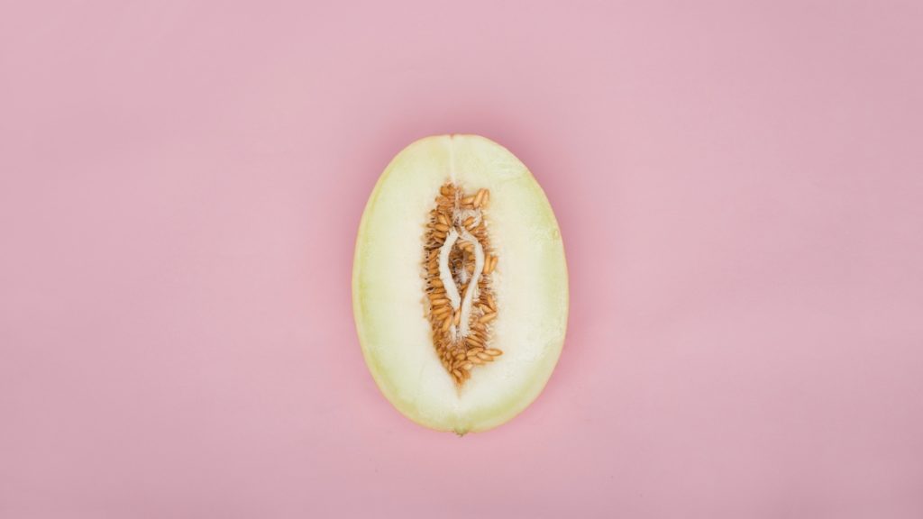 vulva
