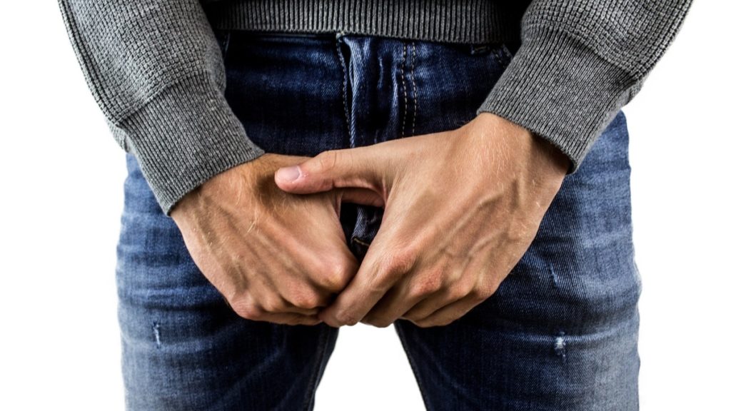 penis